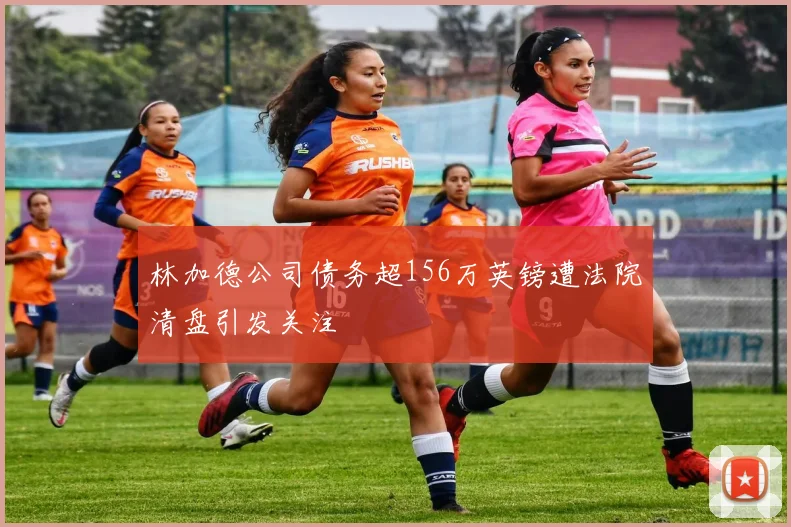 林加德公司债务超156万英镑遭法院清盘引发关注